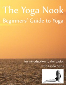 Beginners Dynamic Yoga DVD